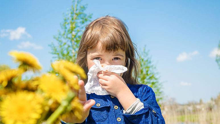 Alergia primaveral: consejos y prevención